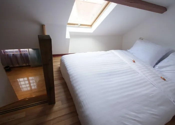 호텔 Chasse Boutique 암스테르담