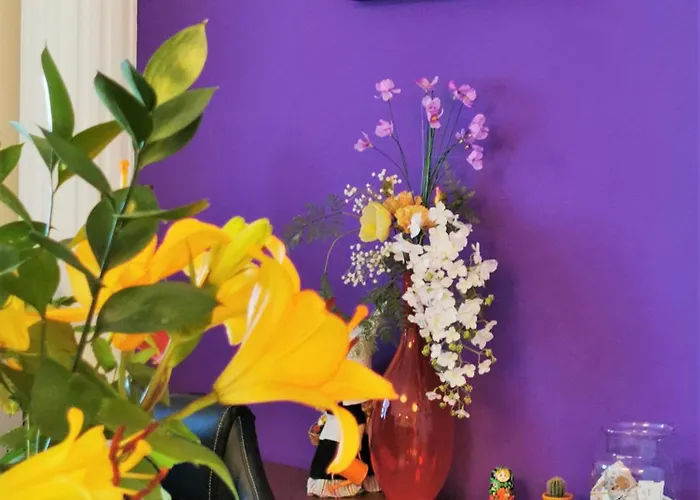 Chasse Boutique 호텔 암스테르담